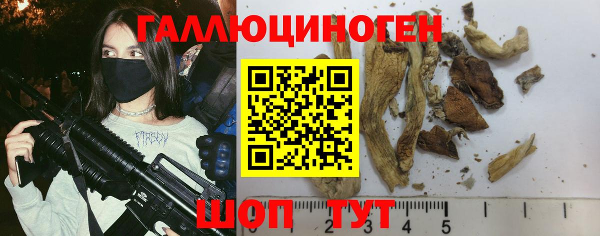 Галлюциногенные грибы Psilocybe Наро-Фоминск